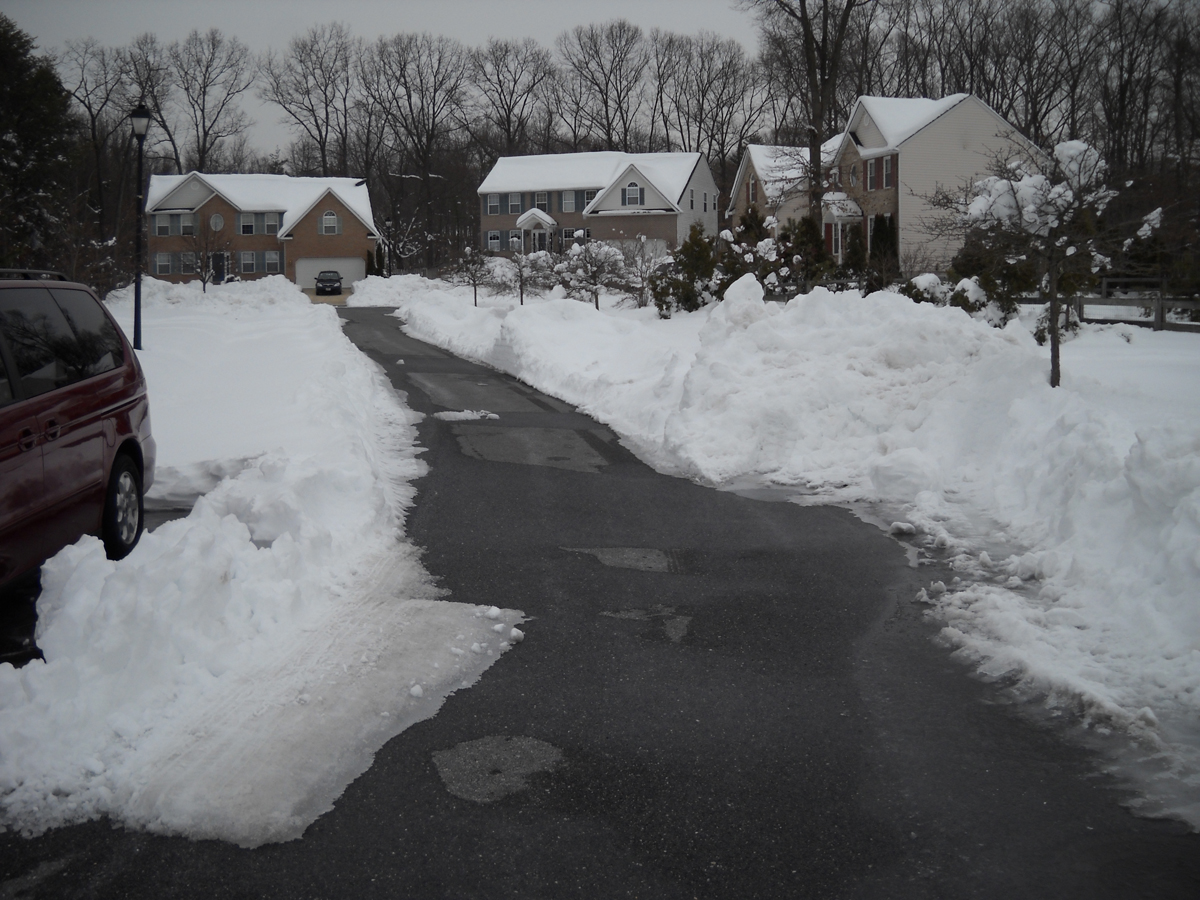 a-lot-of-snow-toadmama