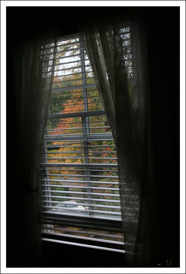 001_bedroom_view