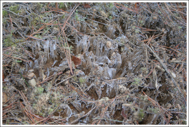 Frozen Ground