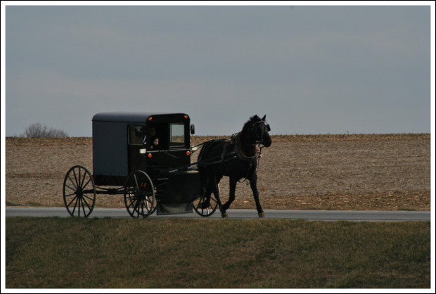 Lancaster really is crawling with Amish folk.