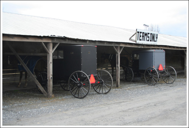 Team Parking. You know, for the Amish buggies.