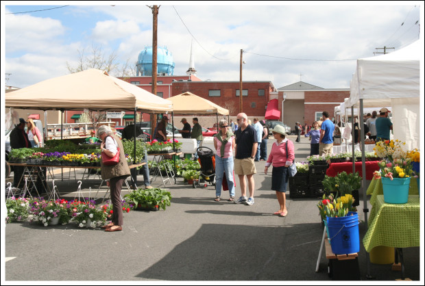 Warrenton Farmer's Market