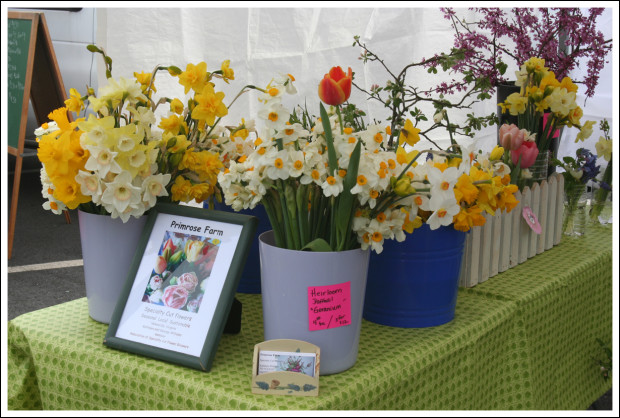 Primrose Farm Flowers