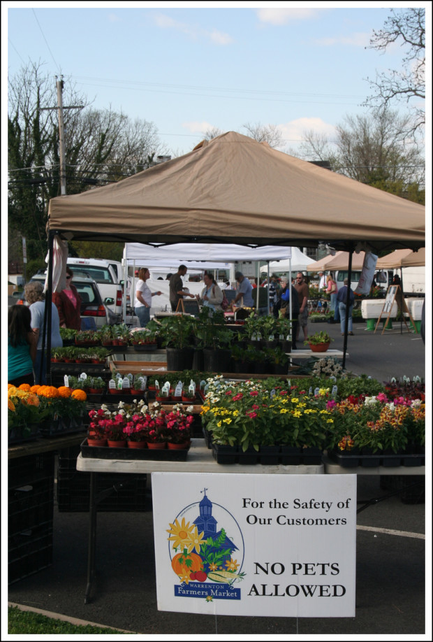 Farmer's Market