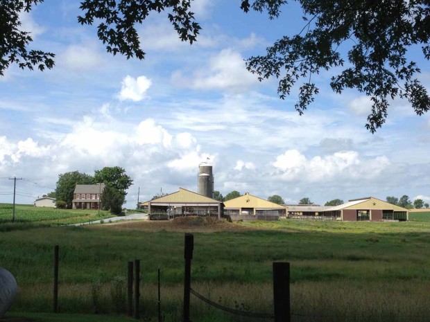 Cow barn.