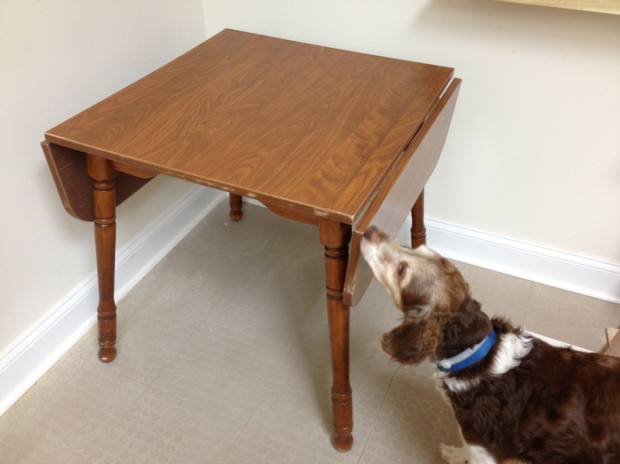 Thrift Store Table ($25)