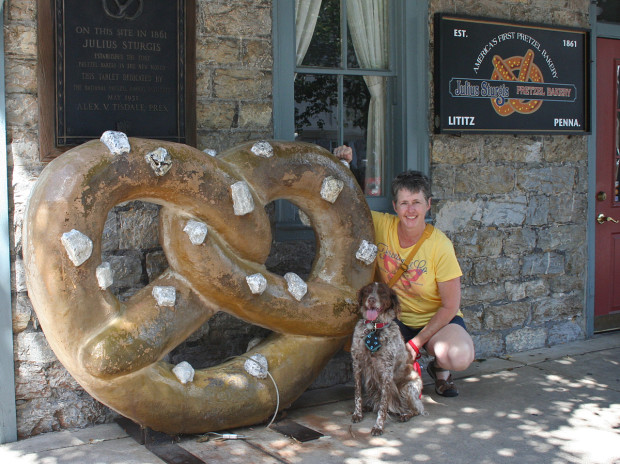 Giant Pretzel