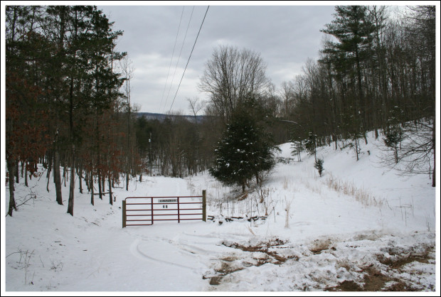 Our Driveway