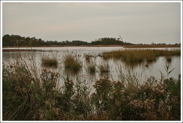 rehoboth_beach_3