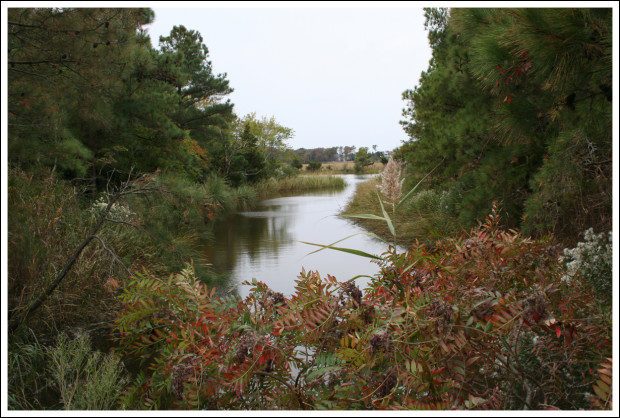 rehoboth_beach_4