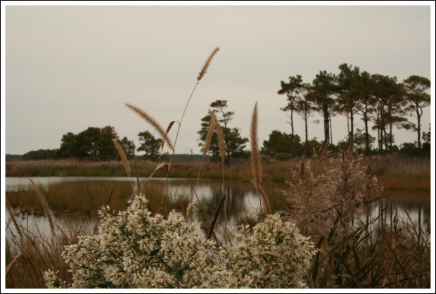 rehoboth_beach_5