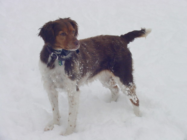 She has always loved snow.
