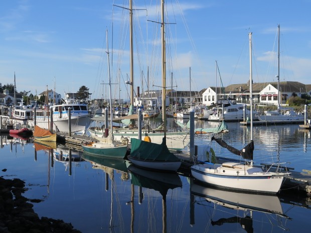 Marina near Point Hudson