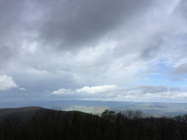 View from High Knob Lookout Tower (Stone Mountain)