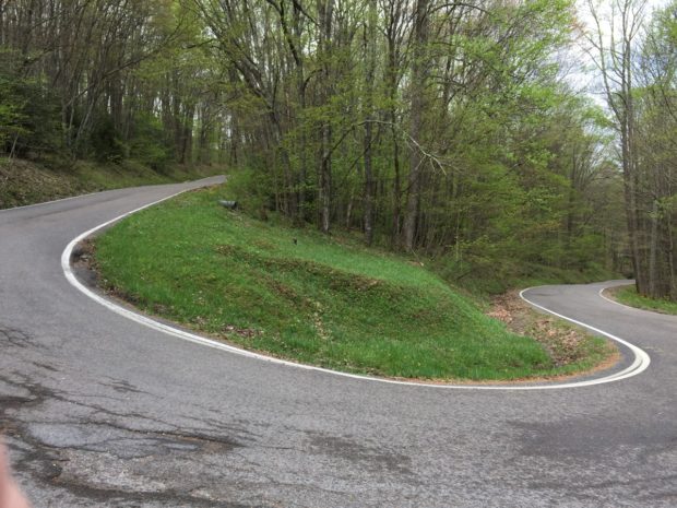 The road to and from High Knob Lookout Tower (Stone Mountain)