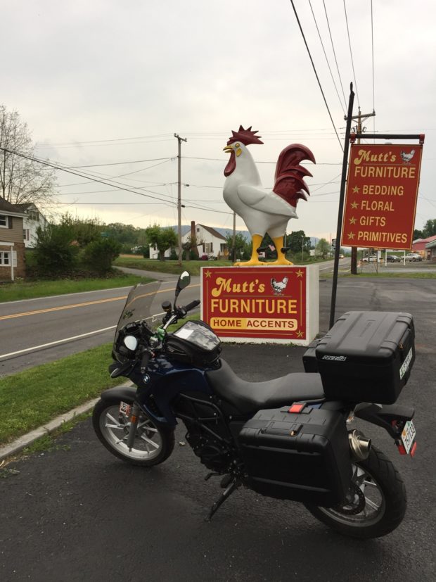 Who can resist a giant chicken?