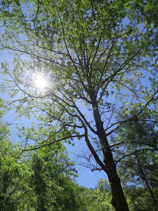 Gorgeous Blue Sky