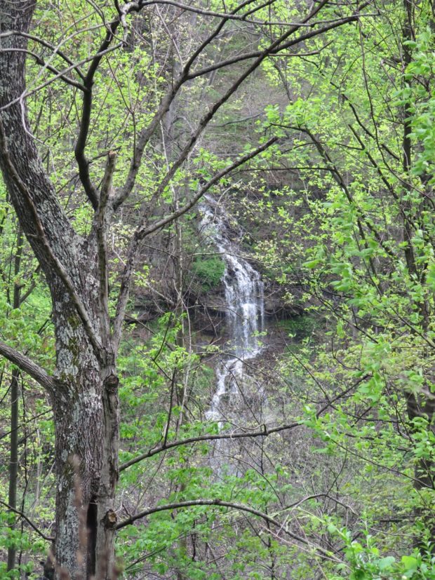 Waterfall alongside of the highway.